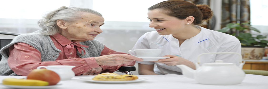 GESTÃO DE SAÚDE DA PESSOA IDOSA GESTÃO DE SAÚDE DA PESSOA IDOSA