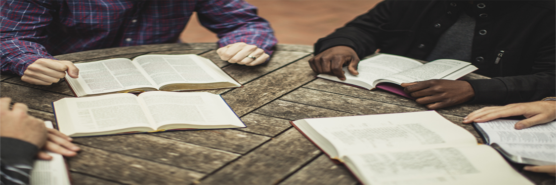 TEOLOGIA E DIREITOS HUMANOS TEOLOGIA E DIREITOS HUMANOS